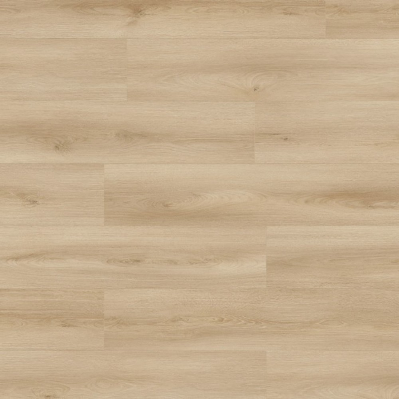 Krono Original Atlantic 8 Ecru Cantal Oak 1288x195x8 mm  K653