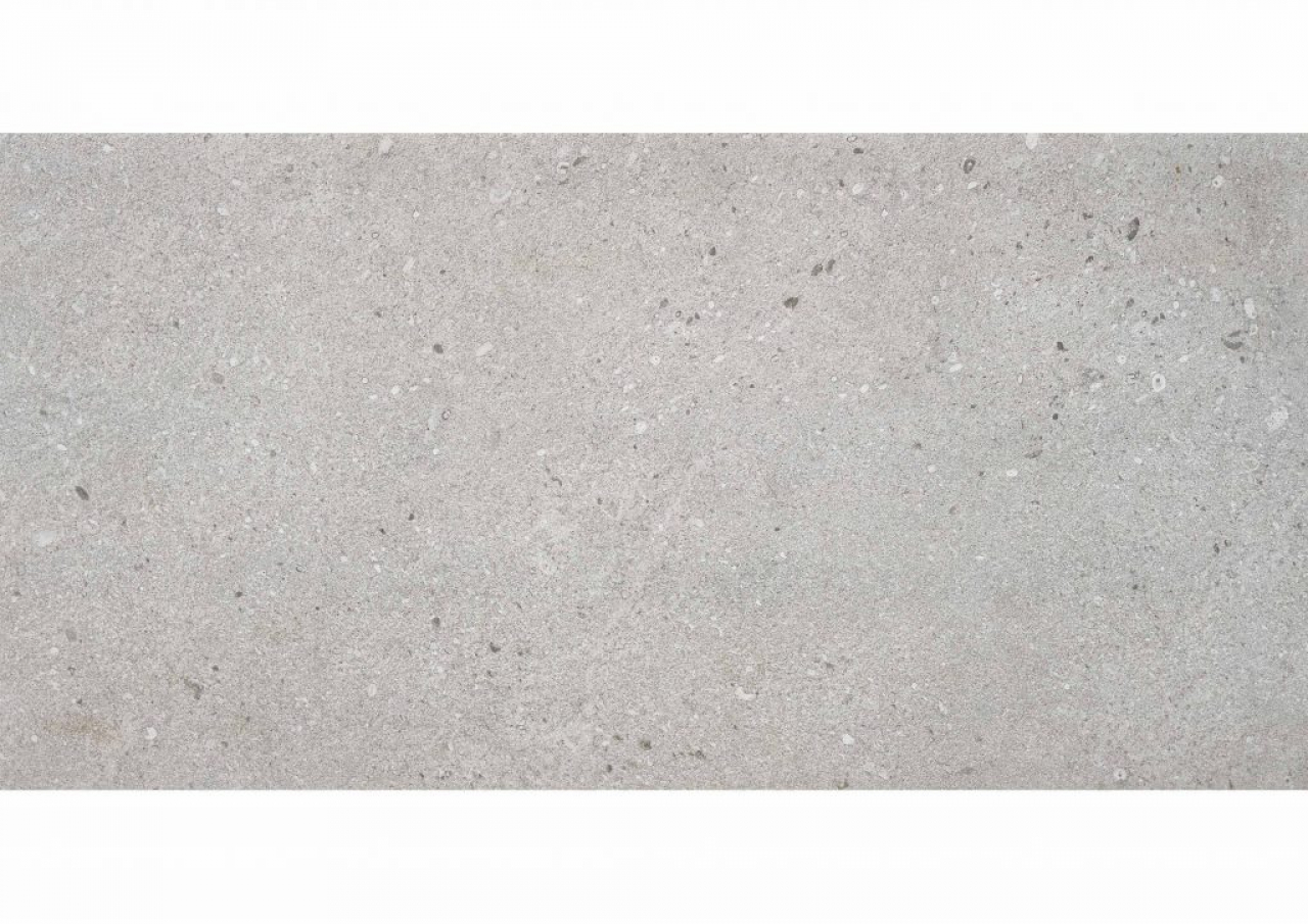 Roca Balance Gris 60x120 F1Q0B54021