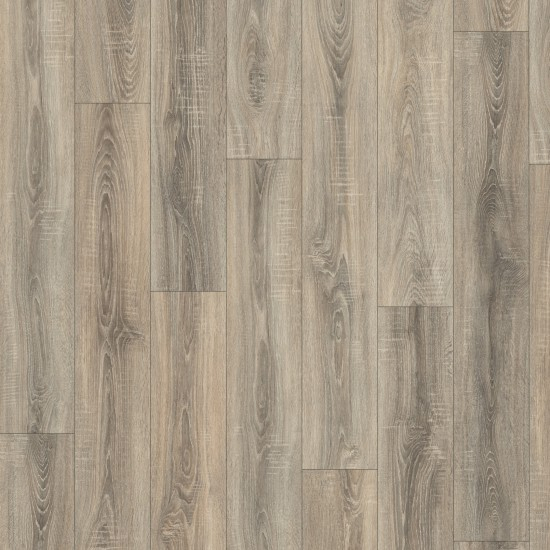 Egger Grey Bardolino Oak Classic 7/31 4V  EL1056  595379