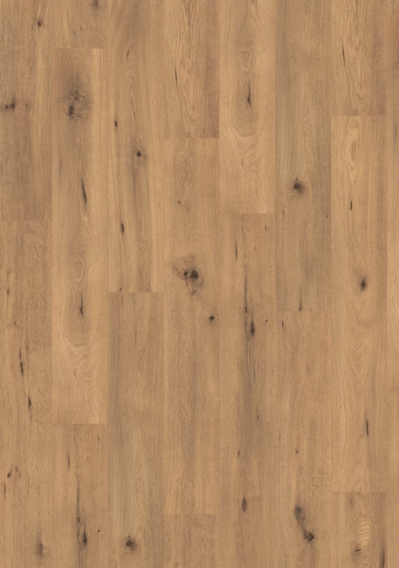 Egger  Natural Wild Oak Classic 7/31 4V  EL2067 595232