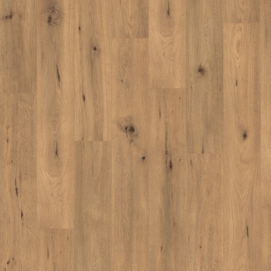 Egger  Natural Wild Oak Classic 7/31 4V  EL2067 595232
