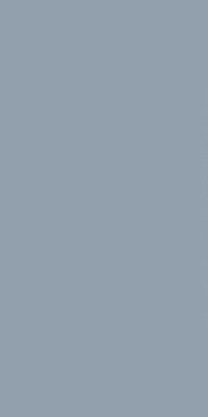 Cotto Petrus Anni ‘70 Fondo Azzurro Rett 60x120 cm RPL148