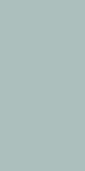 Cotto Petrus Anni ‘70 Fondo Verde Rett 60x120 cm RPL149