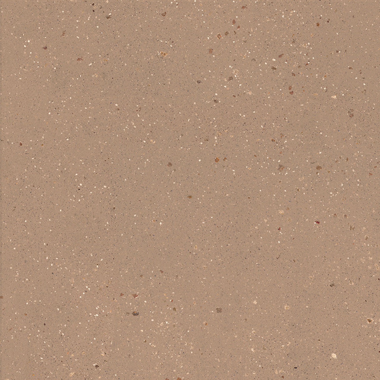 Dado - Geology Cotto 60x60 (304157)