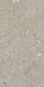 Antica Ceramica - Shellstone Taupe 31x62 (005630)
